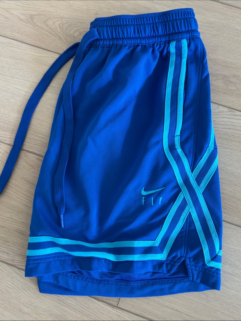 Nike Men’s Royal Blue Athletic Shorts with Aqua Stripes